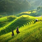 Khám Phá Những Quán Ăn Ngon Và Nổi Tiếng Khi Du Lịch Mộc Châu