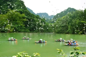 Thung nham