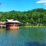 Review Kinh Nghiệm Du Lịch Ao Vua 1 ngày