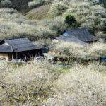 Chia Sẻ Cung Đường Di Chuyển Đến Mộc Châu