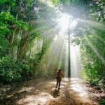 Gợi Ý Lịch Trình Được Yêu Thích Khi Du Lịch Nam Cát Tiên 1 Ngày