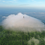 Danh Mục Những Đặc Sản Nhất Định Phải Thưởng Thức Khi Du Lịch Núi Bà Đen