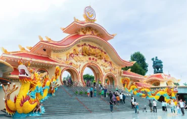 Toàn cảnh
