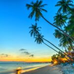 Tour Phan Thiết 3 ngày 2 Đêm Trọn Gói Có Gì Hấp Dẫn?