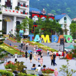 Top 5 Địa Điểm Lưu Trú Không Nên Bỏ Qua Khi Đến Du Lịch Tam Đảo